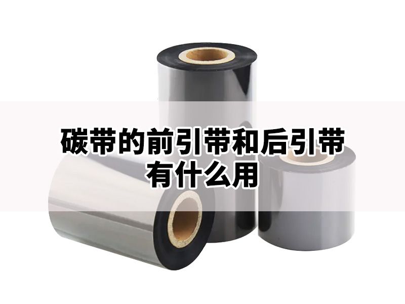 碳带的前引带和后引带，不是摆设——它们的真实功能你可能不知道
